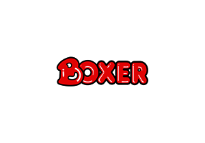 boxer